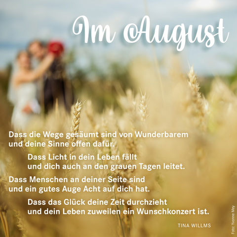 Im August gembrief.ev web